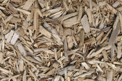 biomass boilers Kedslie
